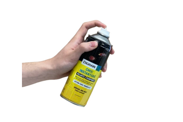 Anti fourmis Aérosol Digrain instantané 400ml insecticide choc