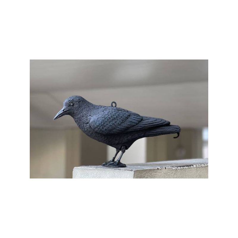 Corbeau anti-pigeons effet dissuasif Swissinno 1 582 001K pour  l'intérieur/extérieur - Conrad Electronic France