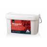 MAGGOTS - Larvicide Professionnel anti Larves de Mouches et Moucherons 5 kg