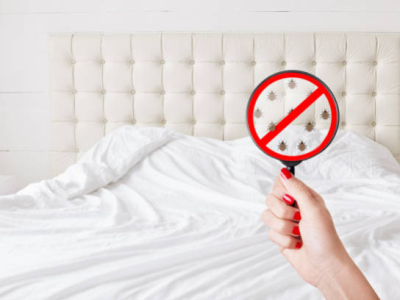 Punaise de lit : 3 produits préventifs pour les hôtels