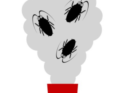 Comment utiliser un fumigène anti blattes ?